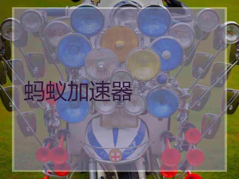 蚂蚁加速器